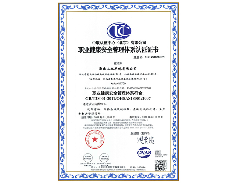 職業健康安全管理體系中文